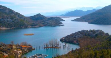 Ivanović ponovo izabran za šefa službe zaštite NP Skadarsko jezero Ivanović ponovo izabran za šefa službe zaštite NP Skadarsko jezero